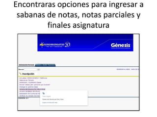 Encontraras opciones para ingresar a
 sabanas de notas, notas parciales y
         finales asignatura
 
