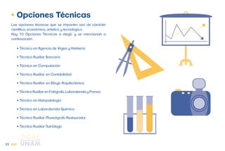 11 
• Opciones Técnicas 
Las opciones técnicas que se imparten son de carácter 
científico, económico, artístico y tecnológico. 
Hay 10 Opciones Técnicas a elegir, y se mencionan a 
continuación: 
•Técnico en Agencia de Viajes y Hotelería 
• Técnico Auxiliar Bancario 
•Técnico en Computación 
•Técnico Auxiliar en Contabilidad 
•Técnico Auxiliar en Dibujo Arquitectónico 
•Técnico Auxiliar en Fotógrafo, Laboratorista y Prensa 
•Técnico en Histopatología 
•Técnico en Laboratorista Químico 
•Técnico Auxiliar Museógrafo Restaurador 
•Técnico Auxiliar Nutriólogo 
ENP 
 