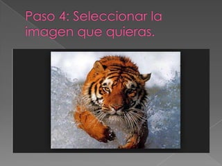 Como insertar una imagen a tu blog2