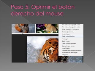 Como insertar una imagen a tu blog2