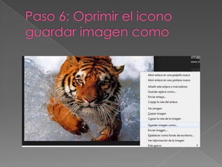 Como insertar una imagen a tu blog2