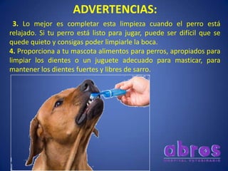 ADVERTENCIAS:
3. Lo mejor es completar esta limpieza cuando el perro está
relajado. Si tu perro está listo para jugar, puede ser difícil que se
quede quieto y consigas poder limpiarle la boca.
4. Proporciona a tu mascota alimentos para perros, apropiados para
limpiar los dientes o un juguete adecuado para masticar, para
mantener los dientes fuertes y libres de sarro.
 