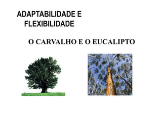 ADAPTABILIDADE E
  FLEXIBILIDADE

  O CARVALHO E O EUCALIPTO
 