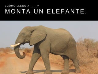 M O N T A U N E L E F A N T E .
¿ C Ó M O L L E G O A _ _ _ _ ?
 