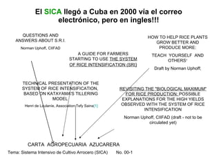 El  SICA  llegó a Cuba en 2000 vía el correo electrónico, pero en ingles!!! A GUIDE FOR FARMERS STARTING TO USE   THE SYSTEM OF RICE INTENSIFICATION (SRI ) TECHNICAL PRESENTATION OF THE SYSTEM OF RICE INTENSIFICATION,  BASED ON KATAYAMA'S TILLERING MODEL    Henri de Laulaníe, Association Tefy Saina [1 ]   CARTA  AGROPECUARIA  AZUCARERA Tema: Sistema Intensivo de Cultivo Arrocero (SICA)  No. 00-1   REVISITING THE &quot;BIOLOGICAL MAXIMUM&quot; FOR RICE PRODUCTION:   POSSIBLE EXPLANATIONS FOR THE HIGH YIELDS OBSERVED   WITH THE SYSTEM OF RICE INTENSIFICATION Norman Uphoff, CIIFAD (draft - not to be circulated yet) HOW TO HELP RICE PLANTS   GROW BETTER AND PRODUCE MORE: TEACH   YOURSELF  AND OTHERS 1   Draft by Norman Uphoff;  QUESTIONS AND ANSWERS ABOUT S.R.I. Norman Uphoff ,  CIIFAD 