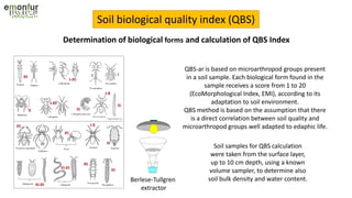 Soil biological quality index (QBS)
QBS-ar is based on microarthropod groups present
in a soil sample. Each biological form found in the
sample receives a score from 1 to 20
(EcoMorphological Index, EMI), according to its
adaptation to soil environment.
QBS method is based on the assumption that there
is a direct correlation between soil quality and
microarthropod groups well adapted to edaphic life.
Soil samples for QBS calculation
were taken from the surface layer,
up to 10 cm depth, using a known
volume sampler, to determine also
soil bulk density and water content.
Determination of biological forms and calculation of QBS Index
Berlese-Tullgren
extractor
 