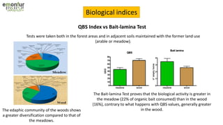 Biological indices
The edaphic community of the woods shows
a greater diversification compared to that of
the meadows.
The Bait-lamina Test proves that the biological activity is greater in
the meadow (22% of organic bait consumed) than in the wood
(16%), contrary to what happens with QBS values, generally greater
in the wood.
QBS Index vs Bait-lamina Test
Tests were taken both in the forest areas and in adjacent soils maintained with the former land use
(arable or meadow).
 
