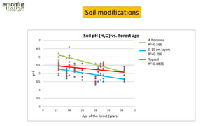 Soil modifications
Soil pH (H2O) vs. Forest age
Age of the forest (years)
Topsoil
R2=0.0836
0-10 cm layers
R2=0.296
A horizons
R2=0.566
 