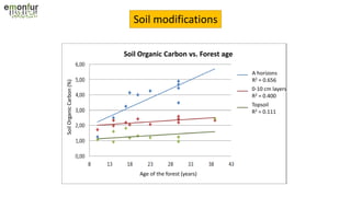 Soil modifications
Soil Organic Carbon vs. Forest age
Topsoil
R2 = 0.111
0-10 cm layers
R2 = 0.400
A horizons
R2 = 0.656
Age of the forest (years)
SoilOrganicCarbon(%)
 