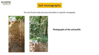 Soil monographs
Photographs of the soil profile
The soil of each study area was described in a specific monograph.
 