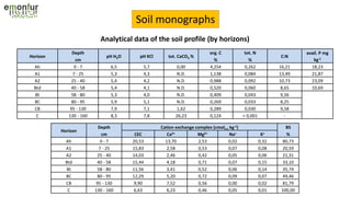 Soil monographs
Analytical data of the soil profile (by horizons)
Horizon
Depth
pH H2O pH KCl tot. CaCO3 %
org. C tot. N
C:N
avail. P mg
kg-1cm % %
Ah 0 - 7 6,5 5,7 0,00 4,254 0,262 16,21 18,23
A1 7 - 25 5,3 4,3 N.D. 1,138 0,084 13,49 21,87
A2 25 - 40 5,4 4,2 N.D. 0,988 0,092 10,73 23,09
Btd 40 - 58 5,4 4,1 N.D. 0,520 0,060 8,65 10,69
Bt 58 - 80 5,3 4,0 N.D. 0,409 0,043 9,56
BC 80 - 95 5,9 5,1 N.D. 0,269 0,033 8,25
CB 95 - 130 7,9 7,1 1,62 0,289 0,030 9,58
C 130 - 160 8,3 7,8 26,23 0,124 < 0,001 -
Horizon
Depth Cation exchange complex (cmol(+) kg-1) BS
cm CEC Ca2+ Mg2+ Na+ K+ %
Ah 0 - 7 20,53 13,70 2,53 0,02 0,32 80,73
A1 7 - 25 15,83 2,58 0,53 0,07 0,08 20,59
A2 25 - 40 14,03 2,46 0,42 0,05 0,06 21,31
Btd 40 - 58 15,44 4,18 0,71 0,07 0,15 33,10
Bt 58 - 80 11,56 3,41 0,52 0,06 0,14 35,74
BC 80 - 95 12,29 5,20 0,72 0,09 0,07 49,46
CB 95 - 130 9,90 7,52 0,56 0,00 0,02 81,79
C 130 - 160 6,63 6,23 0,46 0,05 0,01 100,00
 