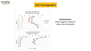 Soil monographs
Vertical trend
of pH, organic C and C:N
ratio in the soil profile
 