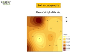 Soil monographs
Maps of pH H2O of the plot
 