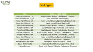 Soil types
Plot Soil type (WRB 2006)
Parco Nord Milano 23B Haplic Luvisol (Humic, Endoskeletic, Chromic)
Parco Nord Milano 2A_nd Luvic Phaeozem (Endoskeletic)
Parco Nord Milano 18C Haplic Luvisol (Humic, Epidystric, Endoskeletic)
Parco Nord Milano 25A Haplic Luvisol (Humic, Epidystric)
Parco Nord Milano 2A Cutanic Luvisol (Humic, Epidystric, Endoskeletic)
Parco Nord Milano 9A Luvic Phaeozem (Endoskeletic, Endoarenic)
Parco Nord Milano 1D Haplic Luvisol (Humic, Endoskeletic, Chromic)
Parco Nord Milano 28C Haplic Luvisol (Humic, Epidystric, Endoskeletic, Chromic)
Parco Nord Milano 1A Haplic Luvisol (Humic, Endoskeletic, Chromic)
Parco Nord Milano 14A Haplic Luvisol (Humic, Epidystric, Endoskeletic)
Boscoincittà Haplic Umbrisol (Humic, Endoeutric)
Foresta della Carpaneta Endopetric Hypocalcic Vertic Calcisol
Bosco di Maristella Haplic Cambisol (Humic, Hypereutric, Siltic)
Bosco Fontana Petric Luvic Calcisol (Skeletic, Endoarenic, Chromic)
 