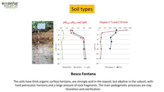 Soil types
Bosco Fontana
The soils have thick organic surface horizons, are strongly acid in the topsoil, but alkaline in the subsoil, with
hard petrocalcic horizons and a large amount of rock fragments. The main pedogenetic processes are clay
illuviation and calcification.
 