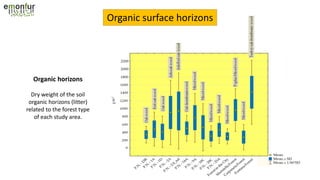 Organic surface horizons
Organic horizons
Dry weight of the soil
organic horizons (litter)
related to the forest type
of each study area.
 