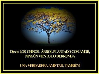 Dicen LOS CHINOS: ÁRBOL PLANTADO CON AMOR, NINGÚN VIENTO LO DERRUMBA UNA VERDADERA AMISTAD, TAMBIÉN! 