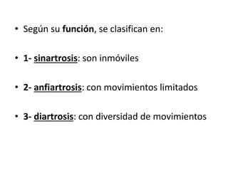 • Según su función, se clasifican en:
• 1- sinartrosis: son inmóviles
• 2- anfiartrosis: con movimientos limitados
• 3- diartrosis: con diversidad de movimientos
 