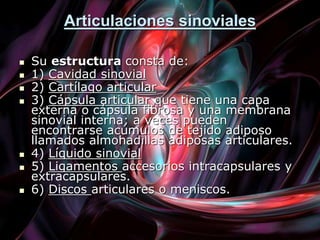 Articulaciones sinoviales
 Su estructura consta de:
 1) Cavidad sinovial
 2) Cartílago articular
 3) Cápsula articular que tiene una capa
externa o cápsula fibrosa y una membrana
sinovial interna; a veces pueden
encontrarse acúmulos de tejido adiposo
llamados almohadillas adiposas articulares.
 4) Líquido sinovial
 5) Ligamentos accesorios intracapsulares y
extracapsulares.
 6) Discos articulares o meniscos.
 