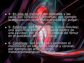  4- En silla de montar: son biaxiales y las
caras son cóncavas y convexas; por ejemplo
la articulación carpo-metacarpiana del pulgar.
 5- Esféricas: son multiaxiales, y muy móviles;
una superficie esférica se mueve dentro de
una cavidad; por ejemplo la cabeza del fémur
en el acetábulo del hueso ilíaco.
 6- Condíleas: son biaxiales y permiten el
movimiento en los planos sagital y coronal;
por ejemplo las articulaciones
metacarpofalángicas o nudillos.
 