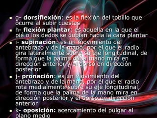  g- dorsiflexión: es la flexión del tobillo que
ocurre al subir cuestas
 h- flexión plantar: es aquella en la que el
pié o los dedos se doblan hacia la cara plantar
 i- supinación: es un movimiento del
antebrazo y de la mano, por el que el radio
gira lateralmente sobre su eje longitudinal, de
forma que la palma de la mano mira en
dirección anterior y el dorso en dirección
posterior
 j- pronación: es un movimiento del
antebrazo y de la mano, por el que el radio
rota medialmente sobre su eje longitudinal,
de forma que la palma de la mano mira en
dirección posterior y el dorso en dirección
anterior
 k- oposición: acercamiento del pulgar al
plano medio
 