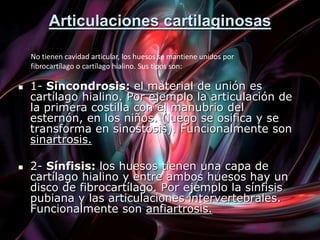 Articulaciones cartilaginosas
 1- Sincondrosis: el material de unión es
cartílago hialino. Por ejemplo la articulación de
la primera costilla con el manubrio del
esternón, en los niños. (luego se osifica y se
transforma en sinostosis). Funcionalmente son
sinartrosis.
 2- Sínfisis: los huesos tienen una capa de
cartílago hialino y entre ambos huesos hay un
disco de fibrocartílago. Por ejemplo la sínfisis
pubiana y las articulaciones intervertebrales.
Funcionalmente son anfiartrosis.
No tienen cavidad articular, los huesos se mantiene unidos por
fibrocartílago o cartílago hialino. Sus tipos son:
 