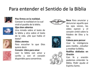 Para entender el Sentido de la Biblia
Pies firmes en la realidad.
Conocer la realidad en la cual
vivió el pueblo de la biblia.
Ojos bien abiertos
Una mirada sobre el texto de
la biblia y otra sobre el texto
de la vida. ¿De que habla el
texto?
Oídos atentos
Para escuchar lo que Dios
quiere decir.
Corazón Libre para amar
Leer la biblia con amor y
cariño y con el corazón
disponible para convertirse.
Boca Para anunciar y
denunciar aquello que
los ojos vieron, los
oídos oyeron y el
corazón sintió sobre la
Palabra de Dios y la
vida.
Cabeza para pensar
Usar la inteligencia
para medita , estudiar
y meditar la Biblia.
Rodillas dobladas en
Oración
Con fe y oración
podemos entender la
Biblia. Pedir ayuda al
Espíritu Santo.
 