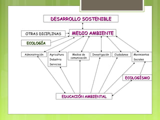 DDEESSAARRRROOLLLLOO SSOOSSTTEENNIIBBLLEE 
OTRAS DICIPLINAS MMEEDDIIOO AAMMBBIIEENNTTEE 
EECCOOLLOOGGÍÍAA 
Administración Agricultura 
Industria 
Servicios 
Medios de 
comunicación 
Investigación Ciudadanos Movimientos 
Sociales 
EEDDUUCCAACCIIÓÓNN AAMMBBIIEENNTTAALL 
EECCOOLLOOGGÍÍSSMMOO 
 