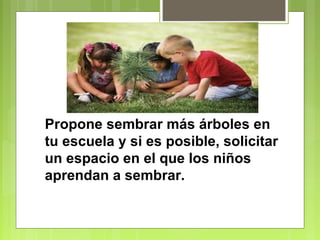 Propone sembrar más árboles en 
tu escuela y si es posible, solicitar 
un espacio en el que los niños 
aprendan a sembrar. 
 