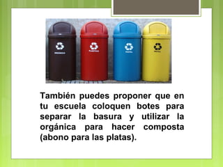 También puedes proponer que en 
tu escuela coloquen botes para 
separar la basura y utilizar la 
orgánica para hacer composta 
(abono para las platas). 
 