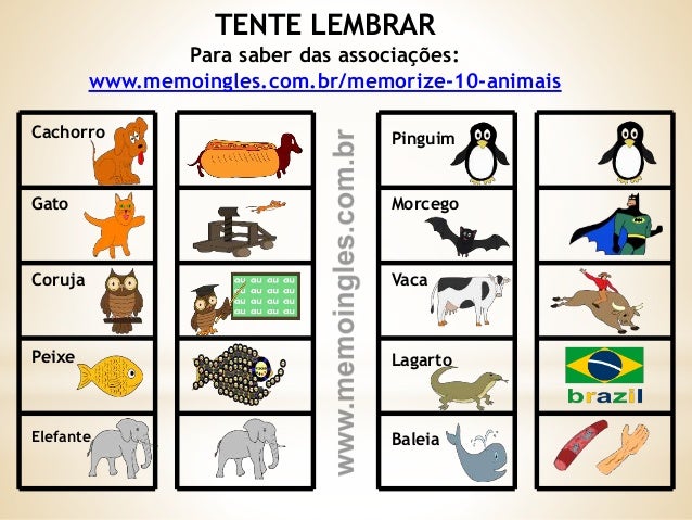 Medicina de prevenção de vermes