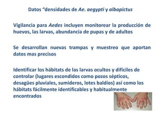 Datos “densidades de Ae. aegypti y albopictus 
Vigilancia para Aedes incluyen monitorear la producción de 
huevos, las lar...