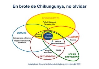 En brote de Chikungunya, no olvidar 
PALUDISMO 
DENGUE 
CHIKUNGUNYA 
Ictericia 
Fiebre 
Mialgias 
Insuficiencia renal 
Ras...