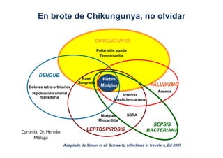 En brote de Chikungunya, no olvidar 
PALUDISMO 
DENGUE 
CHIKUNGUNYA 
Ictericia 
Fiebre 
Mialgias 
Insuficiencia renal 
Ras...
