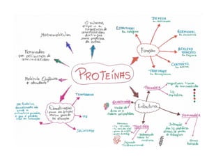 Como montar mapas conceituais