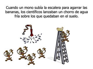 Cuando un mono subía la escalera para agarrar las
bananas, los científicos lanzaban un chorro de agua
fría sobre los que quedaban en el suelo.
 