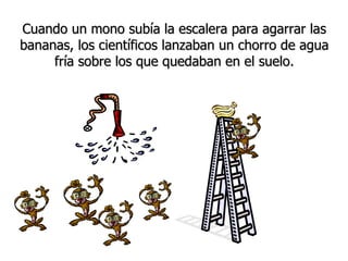 Cuando un mono subía la escalera para agarrar las bananas, los científicos lanzaban un chorro de agua fría sobre los que quedaban en el suelo. 