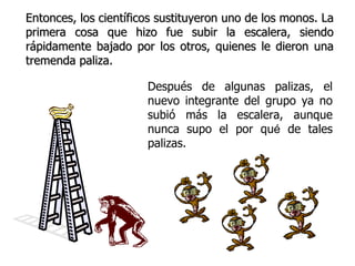 Entonces, los científicos sustituyeron uno de los monos. La primera cosa que hizo fue subir la escalera, siendo rápidamente bajado por los otros, quienes le dieron una tremenda paliza. Después de alg unas palizas , el nuevo integrante del grupo ya no subió más la escalera, aunque nunca supo el por qu é  de tales palizas. 