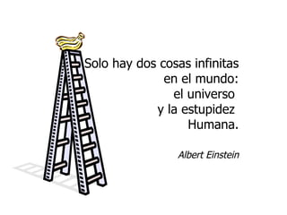 Solo hay dos cosas infinitas en el mundo: el universo  y la estupidez  Humana. Albert Einstein 