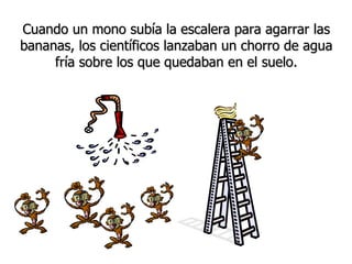 Cuando un mono subía la escalera para agarrar las bananas, los científicos lanzaban un chorro de agua fría sobre los que quedaban en el suelo. 