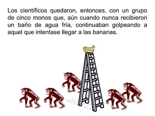 Los científicos quedaron, entonces, con un grupo
de cinco monos que, aún cuando nunca recibieron
un baño de agua fría, continuaban golpeando a
aquel que intentase llegar a las bananas.
 