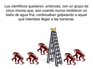 Los científicos quedaron, entonces, con un grupo de
cinco monos que, aún cuando nunca recibieron un
baño de agua fría, continuaban golpeando a aquel
que intentase llegar a las bananas.

 