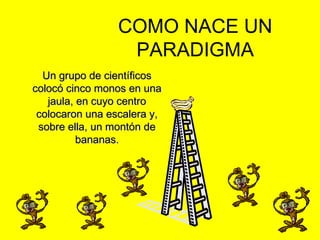 COMO NACE UN
PARADIGMA
Un grupo de científicos
colocó cinco monos en una
jaula, en cuyo centro
colocaron una escalera y,
sobre ella, un montón de
bananas.

1

 