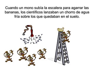 Cuando un mono subía la escalera para agarrar las
bananas, los científicos lanzaban un chorro de agua
fría sobre los que quedaban en el suelo.

 