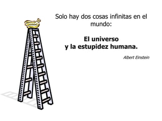 Solo hay dos cosas infinitas en el 
mundo: 
El universo 
y la estupidez humana. 
Albert Einstein 
