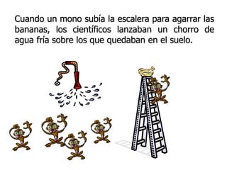 Cuando un mono subía la escalera para agarrar las 
bananas, los científicos lanzaban un chorro de 
agua fría sobre los que quedaban en el suelo. 
 