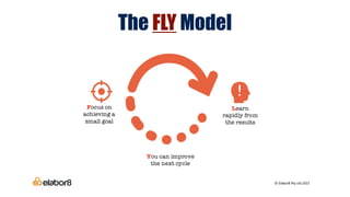 The FLY Model
 