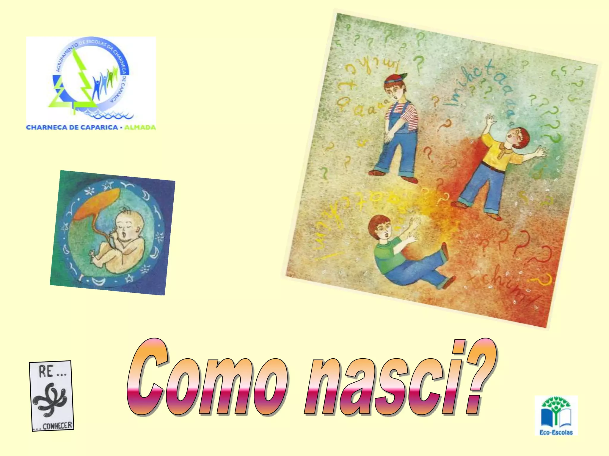 Como Nasci 3º E 4º Anoscomp | PPT