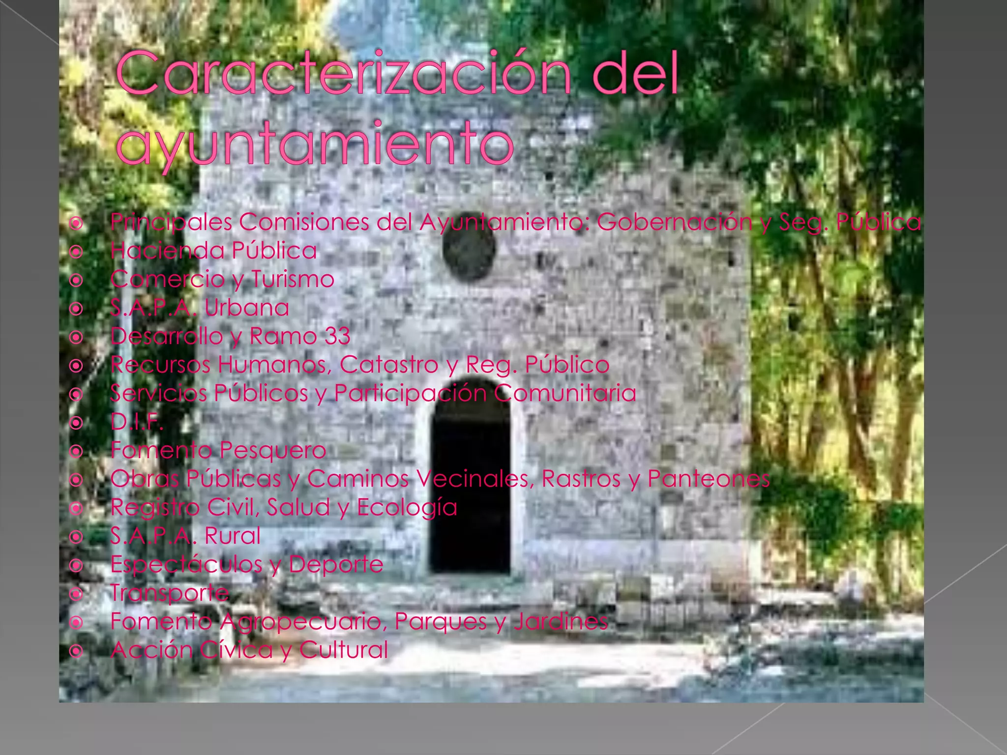    Principales Comisiones del Ayuntamiento: Gobernación y Seg. Pública
   Hacienda Pública
   Comercio y Turismo
   S.A.P.A. Urbana
   Desarrollo y Ramo 33
   Recursos Humanos, Catastro y Reg. Público
   Servicios Públicos y Participación Comunitaria
   D.I.F.
   Fomento Pesquero
   Obras Públicas y Caminos Vecinales, Rastros y Panteones
   Registro Civil, Salud y Ecología
   S.A.P.A. Rural
   Espectáculos y Deporte
   Transporte
   Fomento Agropecuario, Parques y Jardines
   Acción Cívica y Cultural
 