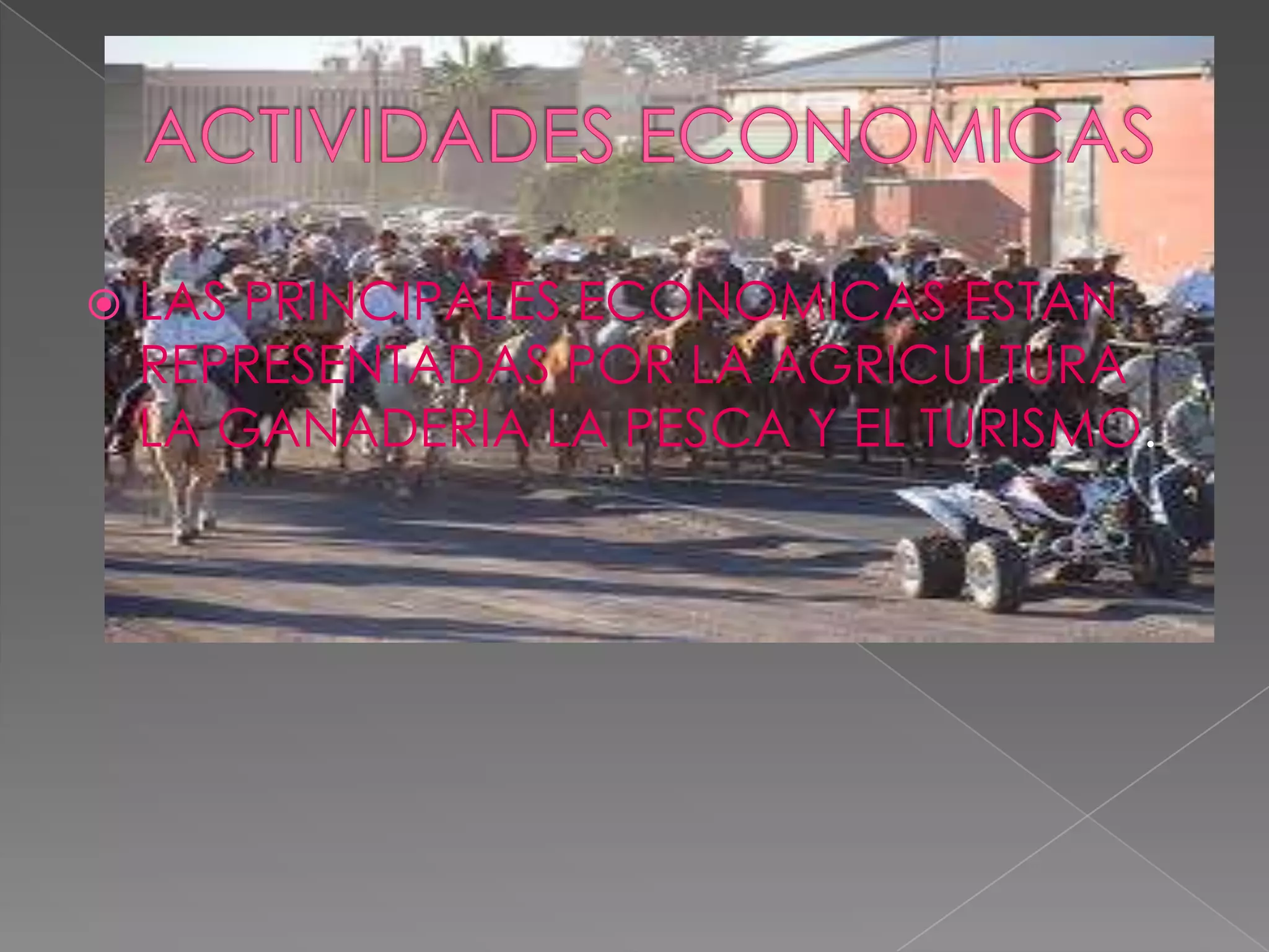    LAS PRINCIPALES ECONOMICAS ESTAN
    REPRESENTADAS POR LA AGRICULTURA
    LA GANADERIA LA PESCA Y EL TURISMO.
 